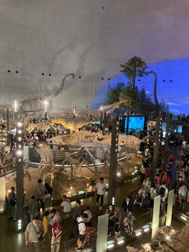 福井県立恐竜博物館に投稿された画像（2025/9/14）