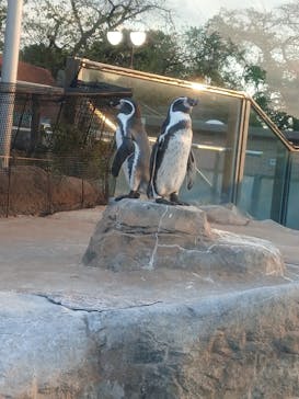 東武動物公園に投稿された画像（2025/9/14）