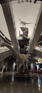 福井県立恐竜博物館に投稿された画像（2025/9/14）