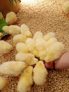 Moff animal cafe イオンモール名取店に投稿された画像（2025/9/14）