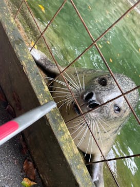 那須どうぶつ王国に投稿された画像（2025/9/14）