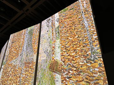 クリムト・アライブに投稿された画像（2025/9/14）