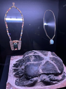 ACN ラムセス大王展 ファラオたちの黄金に投稿された画像（2025/9/14）