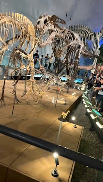 福井県立恐竜博物館に投稿された画像（2025/9/14）