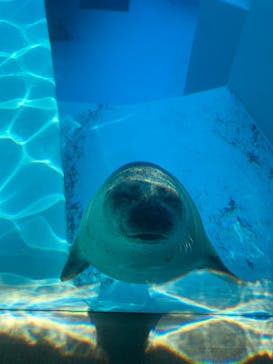 マリンワールド海の中道に投稿された画像（2025/9/14）