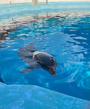マリンワールド海の中道に投稿された画像（2025/9/14）