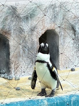 恩賜上野動物園に投稿された画像（2025/9/14）
