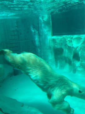 恩賜上野動物園に投稿された画像（2025/9/14）