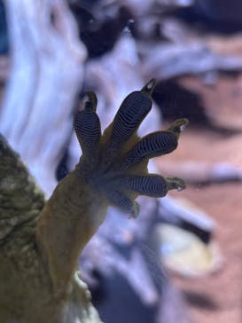 AQUARIUM × ART　atoaに投稿された画像（2025/9/14）