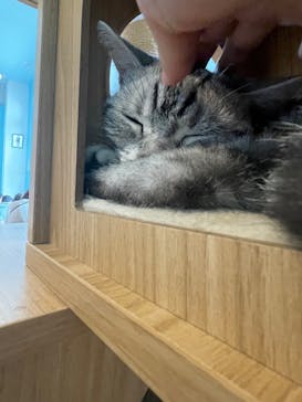 Moff animal cafe iias つくば店に投稿された画像（2025/9/14）