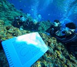 青の洞窟専門店　沖縄ダイビングショップ和に投稿された画像（2025/9/14）