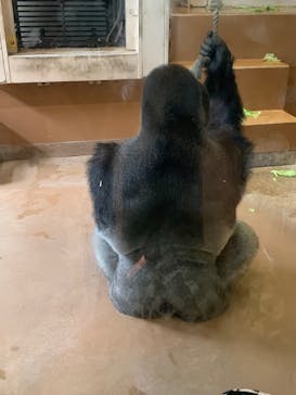 名古屋市東山動植物園に投稿された画像（2025/9/14）