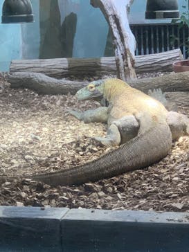 名古屋市東山動植物園に投稿された画像（2025/9/14）