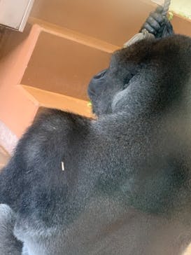 名古屋市東山動植物園に投稿された画像（2025/9/14）