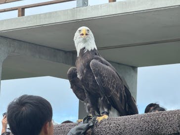 那須どうぶつ王国に投稿された画像（2025/9/14）