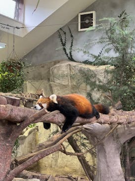 那須どうぶつ王国に投稿された画像（2025/9/14）