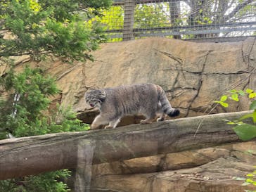 那須どうぶつ王国に投稿された画像（2025/9/14）