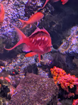 仙台うみの杜水族館に投稿された画像（2025/9/14）