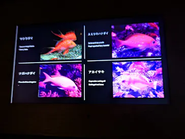 仙台うみの杜水族館に投稿された画像（2025/9/14）