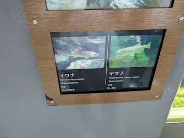 仙台うみの杜水族館に投稿された画像（2025/9/14）