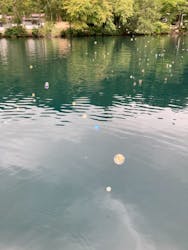 大町・青木湖アドベンチャークラブに投稿された画像（2025/9/14）