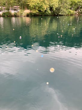 大町・青木湖アドベンチャークラブに投稿された画像（2025/9/14）