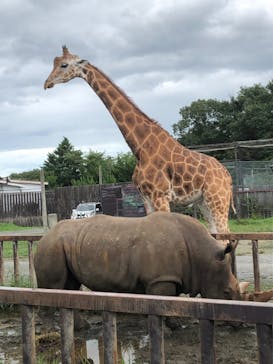 那須サファリパークに投稿された画像（2025/9/14）