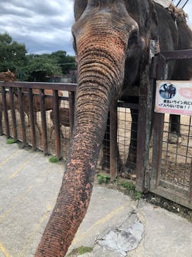 那須サファリパークに投稿された画像（2025/9/14）