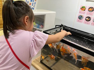 南知多ビーチランド＆南知多おもちゃ王国に投稿された画像（2025/9/14）