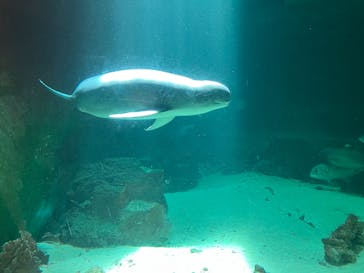 南知多ビーチランド＆南知多おもちゃ王国に投稿された画像（2025/9/14）