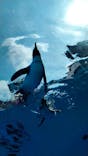 サンシャイン水族館に投稿された画像（2025/9/14）