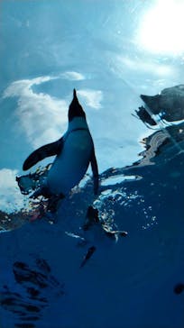 サンシャイン水族館に投稿された画像（2025/9/14）