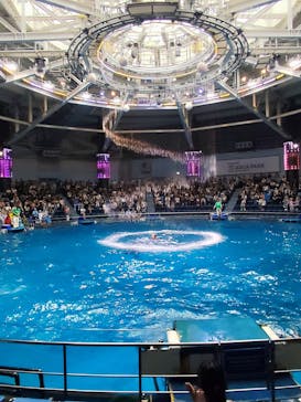 マクセル アクアパーク品川に投稿された画像（2025/9/14）