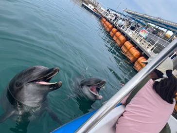 うみたま体験パーク 「つくみイルカ島」に投稿された画像（2025/9/14）