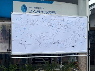 うみたま体験パーク 「つくみイルカ島」に投稿された画像（2025/9/14）
