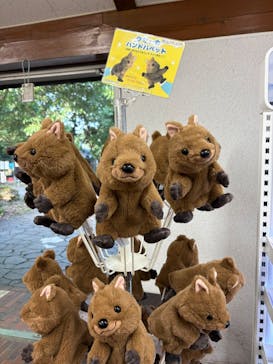 こども動物自然公園（埼玉県公園緑地協会）に投稿された画像（2025/9/14）