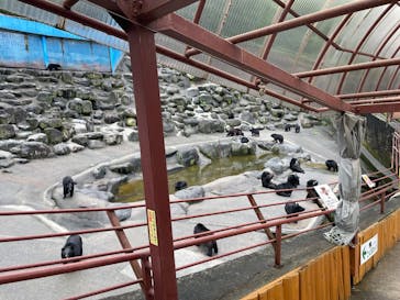 奥飛騨クマ牧場に投稿された画像（2025/9/14）