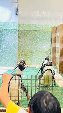 Moff animal world BIGHOPガーデンモール印西店に投稿された画像（2025/9/14）