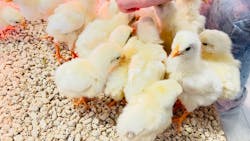 Moff animal world BIGHOPガーデンモール印西店に投稿された画像（2025/9/14）