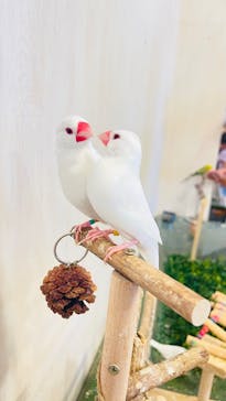 Moff animal world BIGHOPガーデンモール印西店に投稿された画像（2025/9/14）