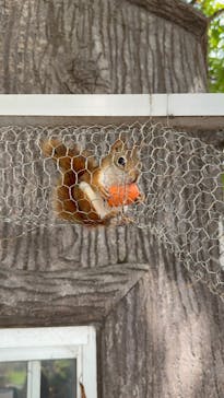 日立市かみね動物園に投稿された画像（2025/9/14）