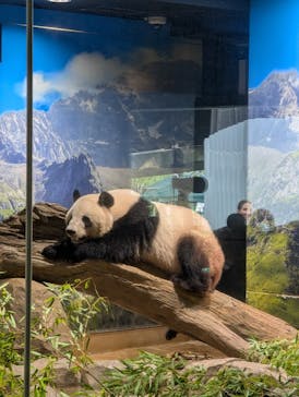 恩賜上野動物園に投稿された画像（2025/9/14）