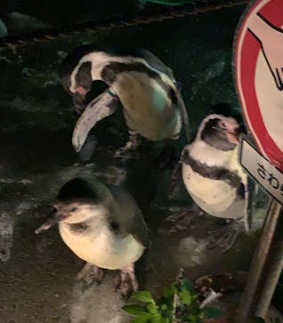 こども動物自然公園（埼玉県公園緑地協会）に投稿された画像（2025/9/14）