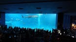 沖縄美ら海水族館に投稿された画像（2025/9/15）
