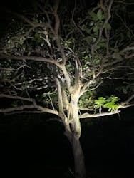 SUNSHINE MARIN 宮古島に投稿された画像（2025/9/14）