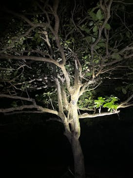 SUNSHINE MARIN 宮古島に投稿された画像（2025/9/14）