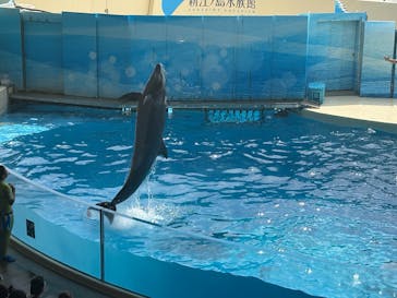 新江ノ島水族館に投稿された画像（2025/9/15）