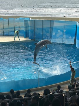 新江ノ島水族館に投稿された画像（2025/9/15）