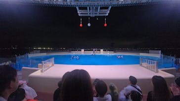 マリンワールド海の中道に投稿された画像（2025/9/15）