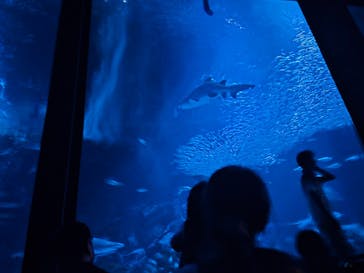 マリンワールド海の中道に投稿された画像（2025/9/15）